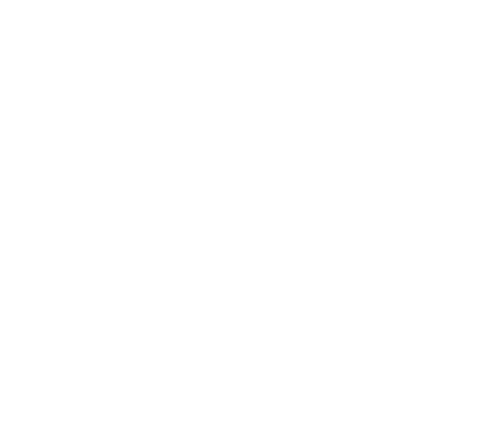 EVA® – Estrategia Vibracional Aplicada